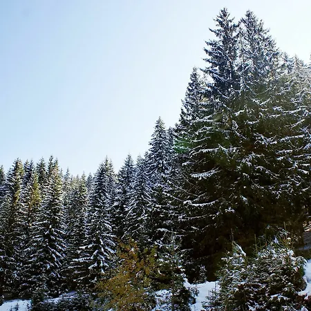 아파트 Fantastic Flat In Bansko, Bulgaria With 3 Bedrooms, Facing The Pirin M